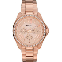 Fossil FOS AM4483