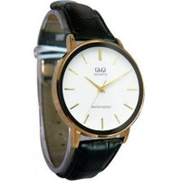 Q&Q Q850J101Y