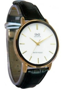 Q&Q Q850J101Y