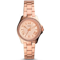 Fossil FOS AM4578