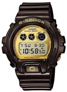 Casio DW-6900BR-5ER