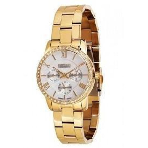 Часы Guardo S01853(m) GW 