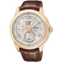 Citizen BT0008-05A Citizen BT0008-05A