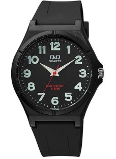 Q&Q VQ66J024Y