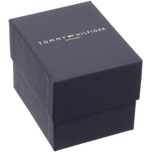 Часы Tommy Hilfiger 1710076 1