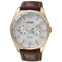 Citizen AO9024-16A