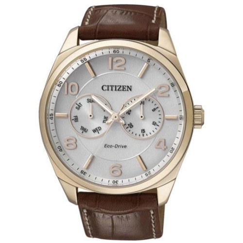 Часы Citizen AO9024-16A 