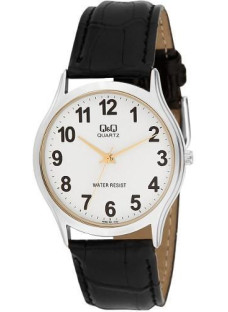 Q&Q Q592J801Y