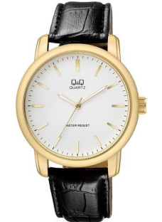 Q&Q Q868J101Y