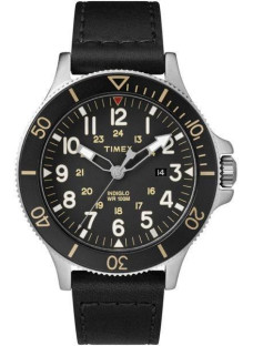 Timex Tx2r45800