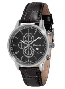 Guardo 10602 SBB