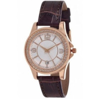 Guardo 10597 RgWBr Guardo 10597 RgWBr