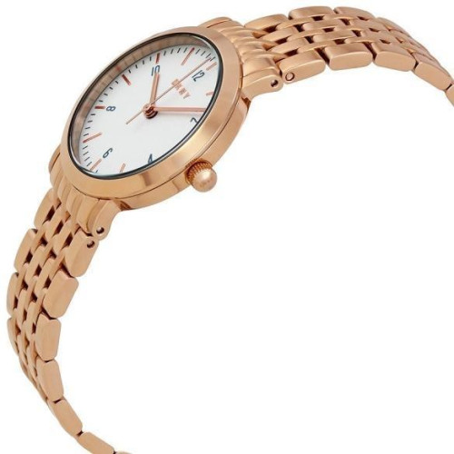 Часы DKNY NY2511 1