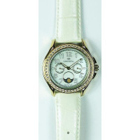 Continental 1304-GP255W