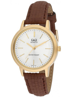 Q&Q Q925J101Y
