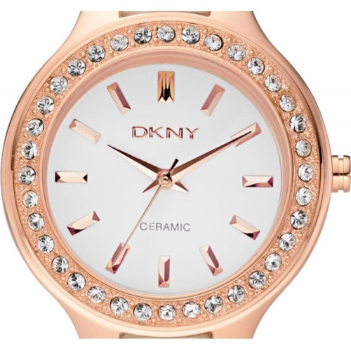 Часы DKNY NY8141 1