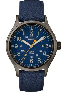 Timex Tx2r46200