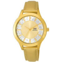Q&Q Q845-100Y