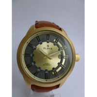 Slava SL10124GGBGFBR
