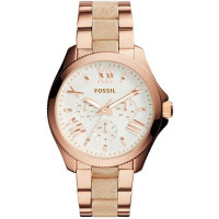 Fossil FOS AM4622