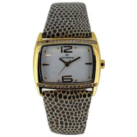 Continental 0120-GP257BE Continental 0120-GP257BE