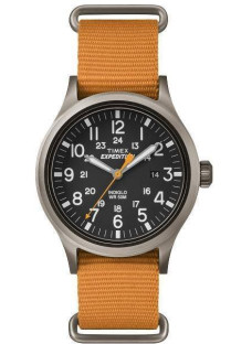 Timex Tx4b04600