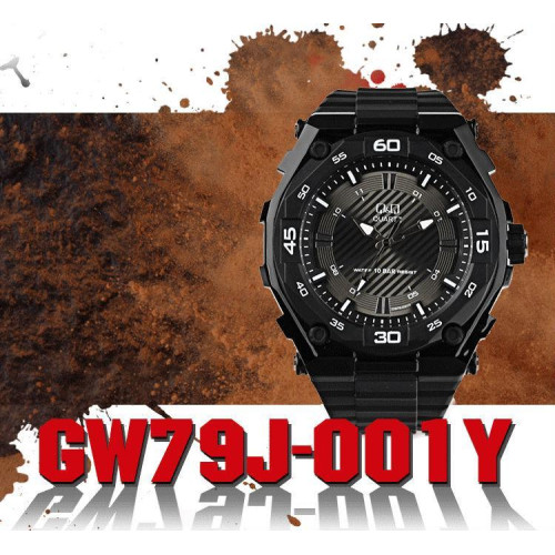 Часы Q&Q GW79J001Y 6