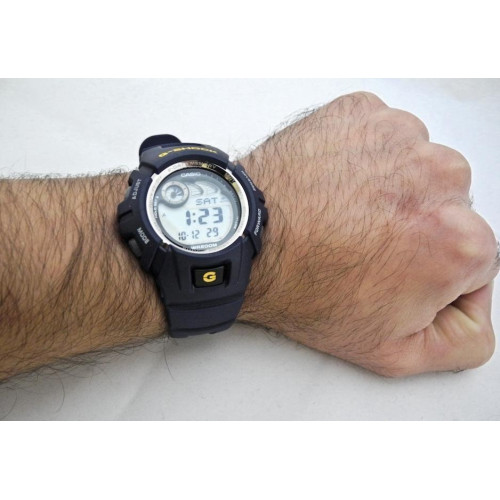 Часы Casio G-2900F-2 1
