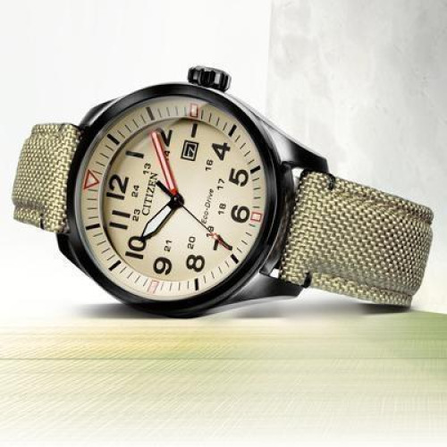 Часы Citizen AW5005-12X 1