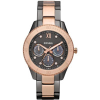 Fossil FOS ES3100