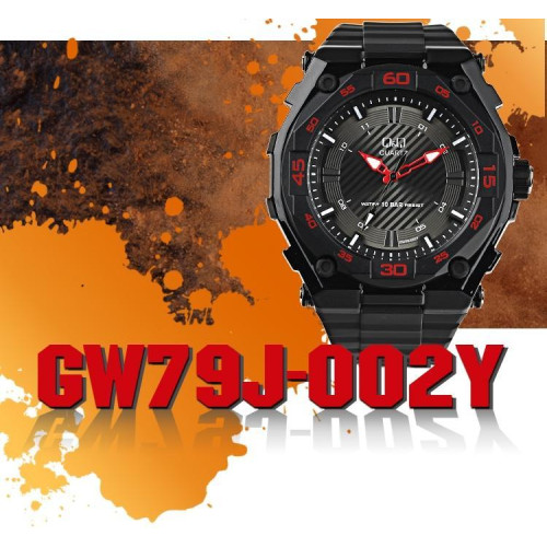 Часы Q&Q GW79J002Y 6