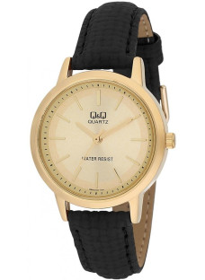 Q&Q Q925J100Y