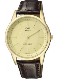 Q&Q Q886J100Y